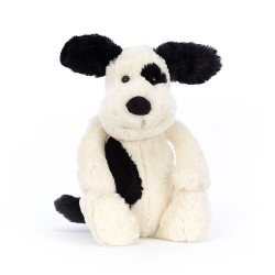 Bashful Black and Cream Puppy