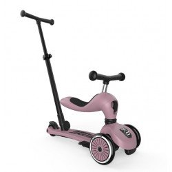 Scoot and Ride Push and Go Wildberry