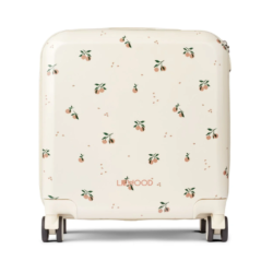 Valise Rigide Hollie Peach / Sea Shell