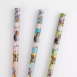 Crayon à papier Diddl