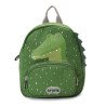 Mr Alligator